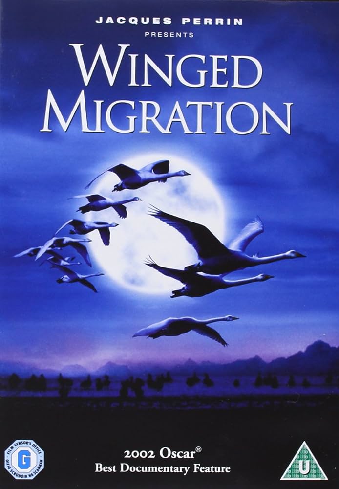 “Winged Migration” การเดินทางของนกสู่เส้นทางของความเร็วและความสวยงามในภาพยนตร์